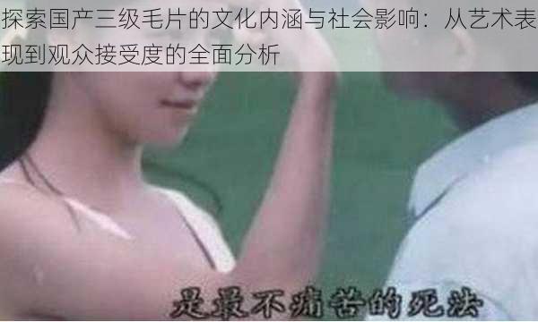 探索国产三级毛片的文化内涵与社会影响:从艺术表现到观众接受度的全面分析