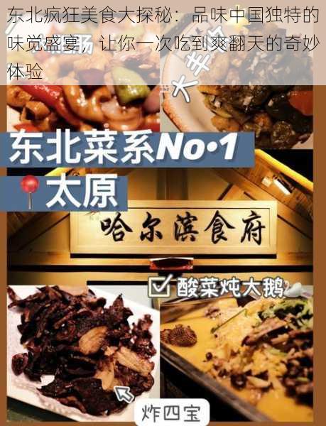 东北疯狂美食大探秘:品味中国独特的味觉盛宴,让你一次吃到爽翻天的奇妙体验