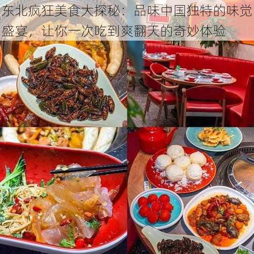东北疯狂美食大探秘:品味中国独特的味觉盛宴,让你一次吃到爽翻天的奇妙体验