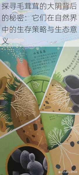 探寻毛茸茸的大阴背后的秘密:它们在自然界中的生存策略与生态意义