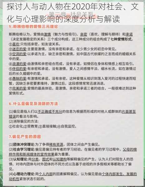 探讨人与动人物在2020年对社会、文化与心理影响的深度分析与解读