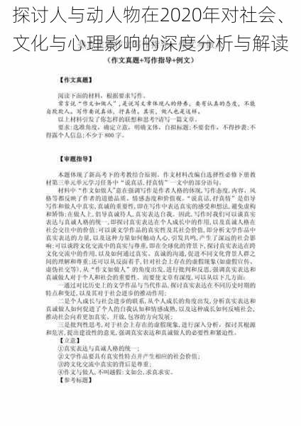 探讨人与动人物在2020年对社会、文化与心理影响的深度分析与解读
