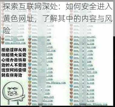 探索互联网深处:如何安全进入黄色网址,了解其中的内容与风险