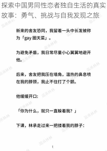 探索中国男同性恋者独自生活的真实故事:勇气、挑战与自我发现之旅