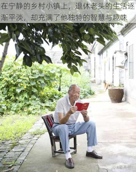 在宁静的乡村小镇上,退休老头的生活逐渐平淡,却充满了他独特的智慧与趣味