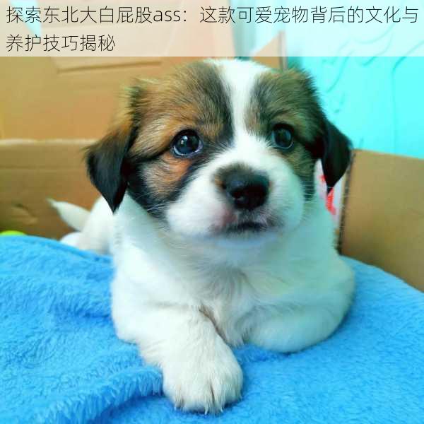 探索东北大白屁股ass:这款可爱宠物背后的文化与养护技巧揭秘