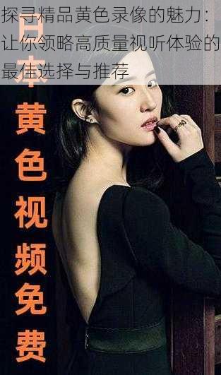 探寻精品黄色录像的魅力:让你领略高质量视听体验的最佳选择与推荐