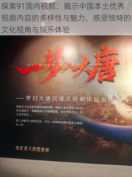 探索91国内视频:揭示中国本土优秀视频内容的多样性与魅力,感受独特的文化视角与娱乐体验