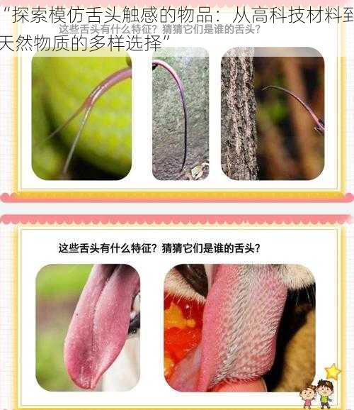 “探索模仿舌头触感的物品:从高科技材料到天然物质的多样选择”