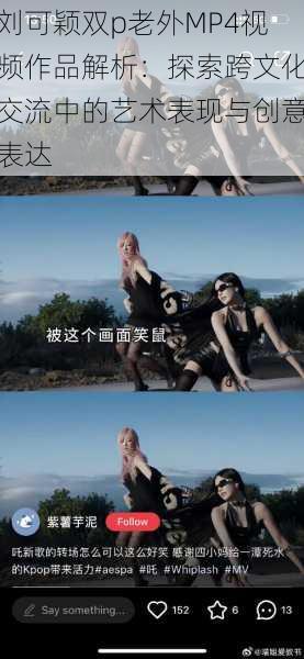 刘可颖双p老外MP4视频作品解析:探索跨文化交流中的艺术表现与创意表达