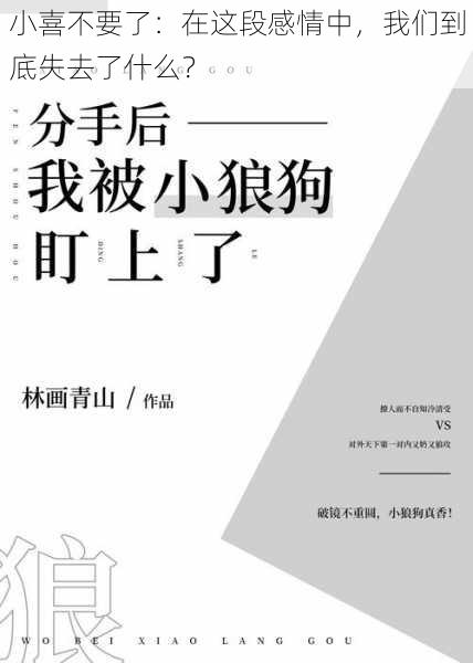 小喜不要了:在这段感情中,我们到底失去了什么?