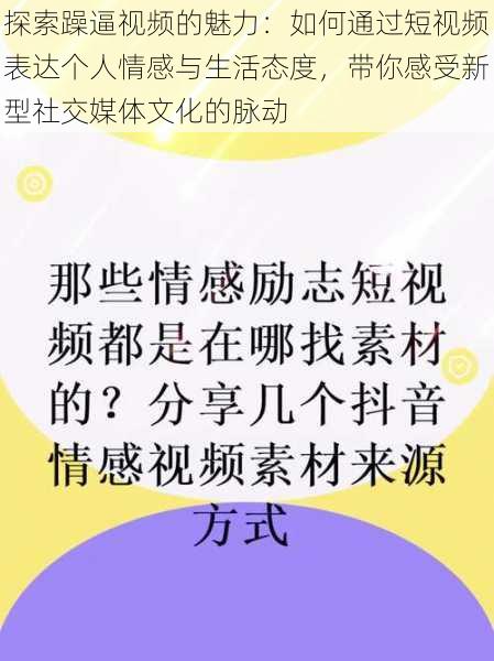 探索躁逼视频的魅力:如何通过短视频表达个人情感与生活态度,带你感受新型社交媒体文化的脉动