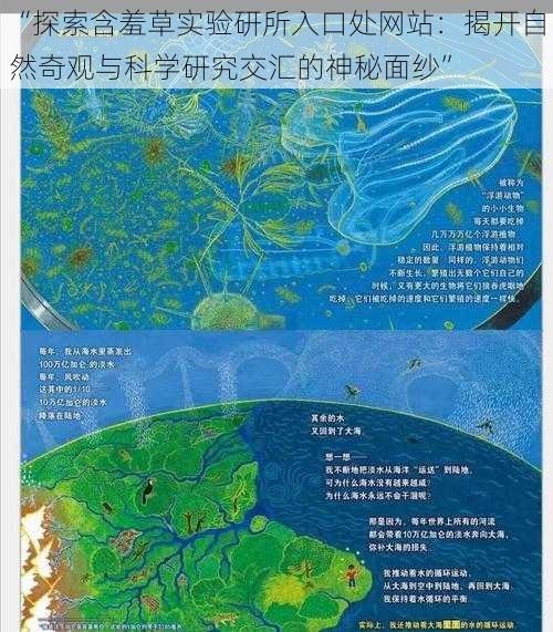 “探索含羞草实验研所入口处网站：揭开自然奇观与科学研究交汇的神秘面纱”