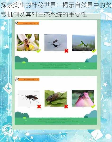 探索奖虫的神秘世界:揭示自然界中的奖赏机制及其对生态系统的重要性