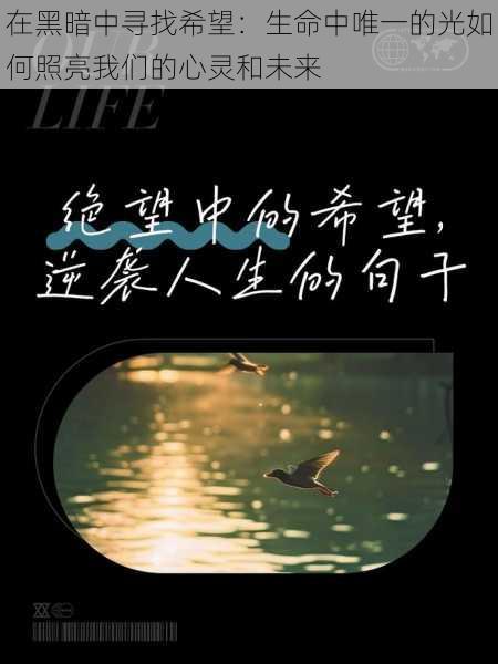 在黑暗中寻找希望:生命中唯一的光如何照亮我们的心灵和未来