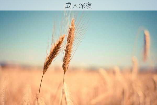 成人深夜