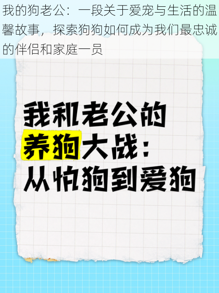 我的狗老公：一段关于爱宠与生活的温馨故事，探索狗狗如何成为我们最忠诚的伴侣和家庭一员