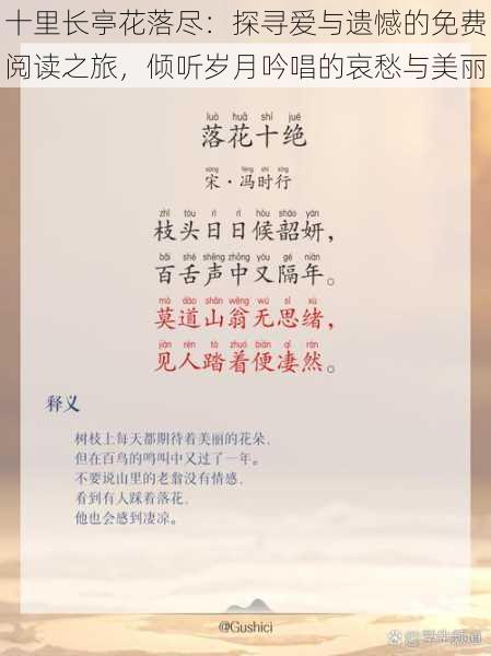 十里长亭花落尽：探寻爱与遗憾的免费阅读之旅，倾听岁月吟唱的哀愁与美丽