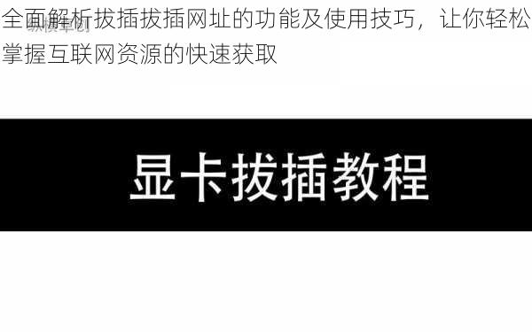 全面解析拔插拔插网址的功能及使用技巧，让你轻松掌握互联网资源的快速获取
