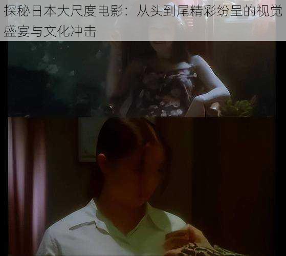 探秘日本大尺度电影:从头到尾精彩纷呈的视觉盛宴与文化冲击