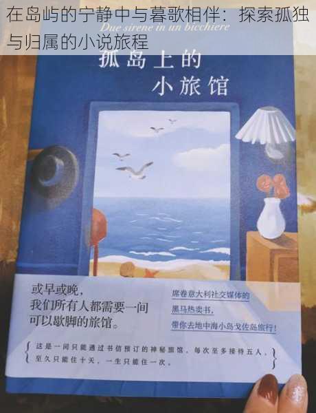 在岛屿的宁静中与暮歌相伴:探索孤独与归属的小说旅程