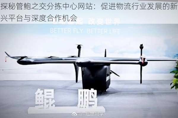 探秘管鲍之交分拣中心网站：促进物流行业发展的新兴平台与深度合作机会