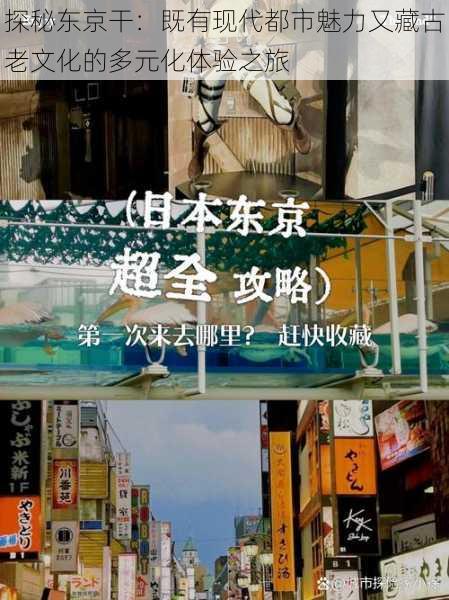 探秘东京干:既有现代都市魅力又藏古老文化的多元化体验之旅