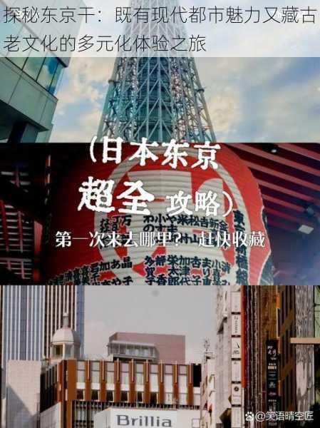 探秘东京干:既有现代都市魅力又藏古老文化的多元化体验之旅