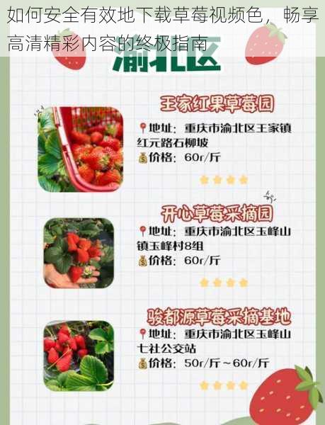如何安全有效地下载草莓视频色,畅享高清精彩内容的终极指南