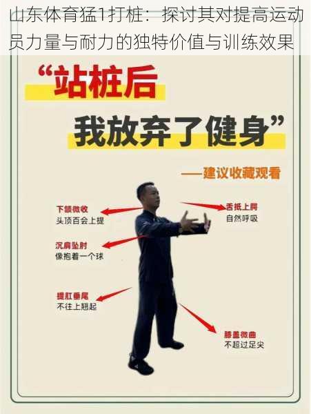 山东体育猛1打桩:探讨其对提高运动员力量与耐力的独特价值与训练效果