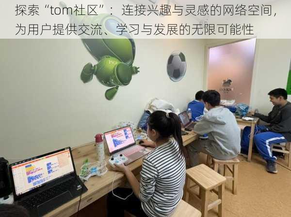 探索“tom社区”:连接兴趣与灵感的网络空间,为用户提供交流、学习与发展的无限可能性