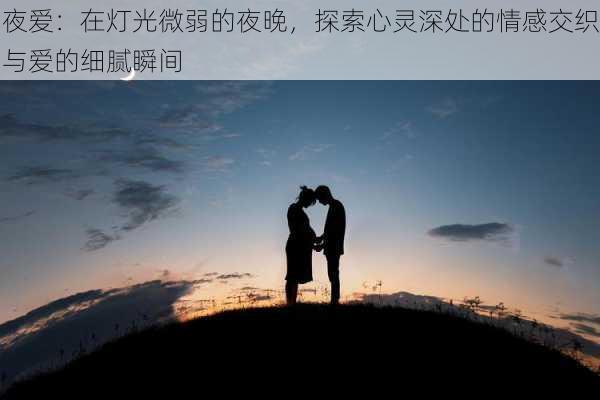 夜爱:在灯光微弱的夜晚,探索心灵深处的情感交织与爱的细腻瞬间