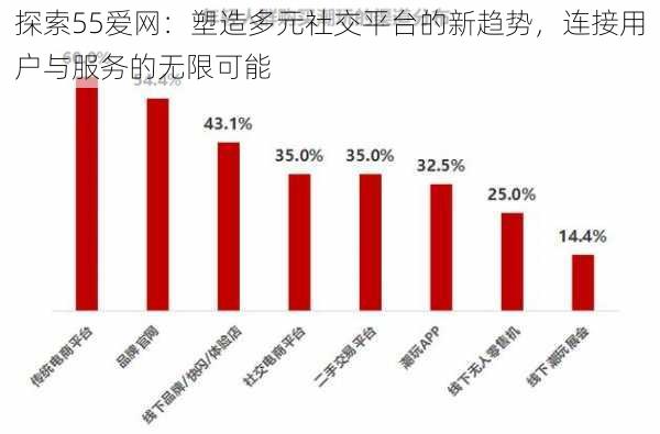 探索55爱网:塑造多元社交平台的新趋势,连接用户与服务的无限可能