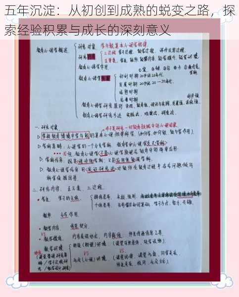 五年沉淀：从初创到成熟的蜕变之路，探索经验积累与成长的深刻意义