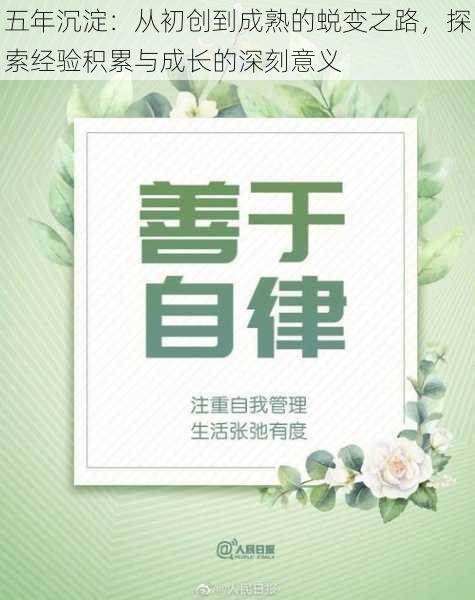 五年沉淀：从初创到成熟的蜕变之路，探索经验积累与成长的深刻意义