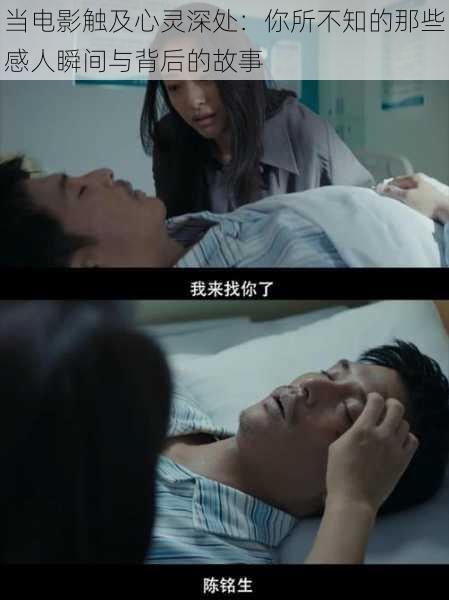 当电影触及心灵深处:你所不知的那些感人瞬间与背后的故事