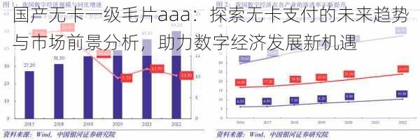 国产无卡一级毛片aaa:探索无卡支付的未来趋势与市场前景分析,助力数字经济发展新机遇