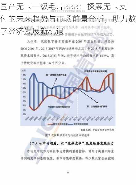 国产无卡一级毛片aaa:探索无卡支付的未来趋势与市场前景分析,助力数字经济发展新机遇