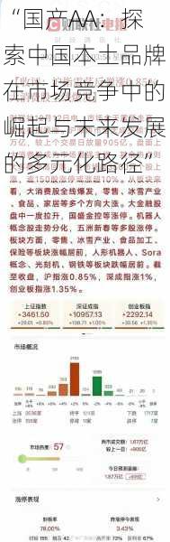 “国产AA:探索中国本土品牌在市场竞争中的崛起与未来发展的多元化路径”
