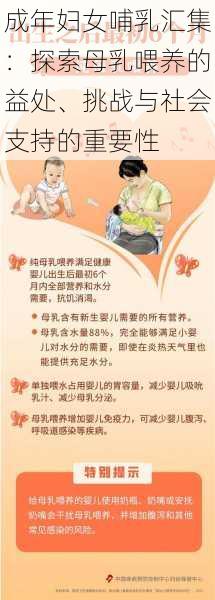 成年妇女哺乳汇集:探索母乳喂养的益处、挑战与社会支持的重要性