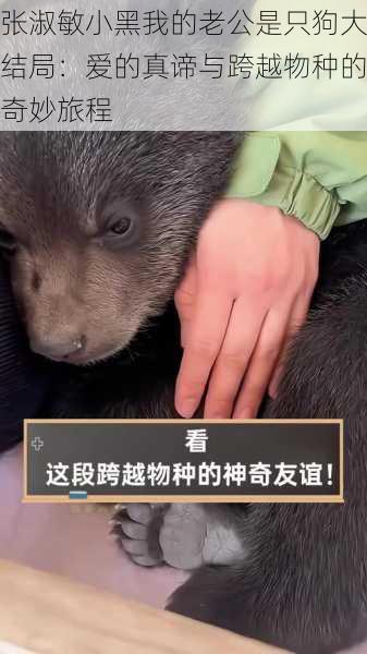 张淑敏小黑我的老公是只狗大结局:爱的真谛与跨越物种的奇妙旅程