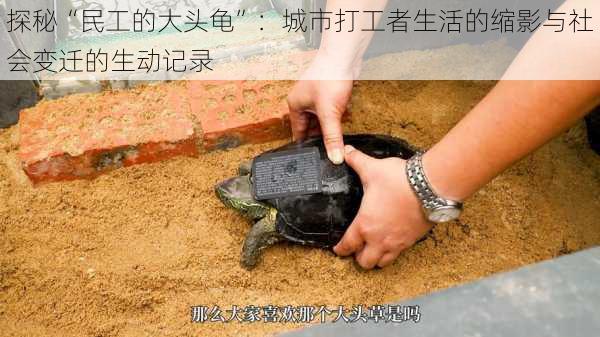 探秘“民工的大头龟”:城市打工者生活的缩影与社会变迁的生动记录