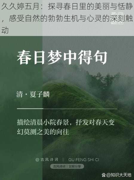 久久婷五月:探寻春日里的美丽与恬静,感受自然的勃勃生机与心灵的深刻触动