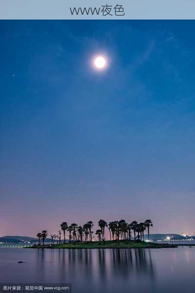 www夜色