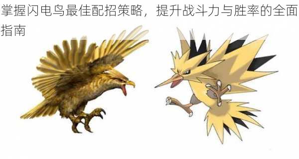 掌握闪电鸟最佳配招策略,提升战斗力与胜率的全面指南