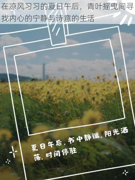 在凉风习习的夏日午后,青叶摇曳间寻找内心的宁静与诗意的生活