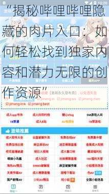 “揭秘哔哩哔哩隐藏的肉片入口:如何轻松找到独家内容和潜力无限的创作资源”