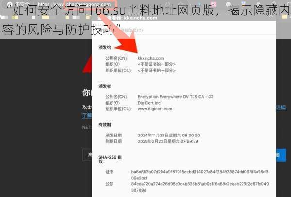 “如何安全访问166.su黑料地址网页版,揭示隐藏内容的风险与防护技巧”