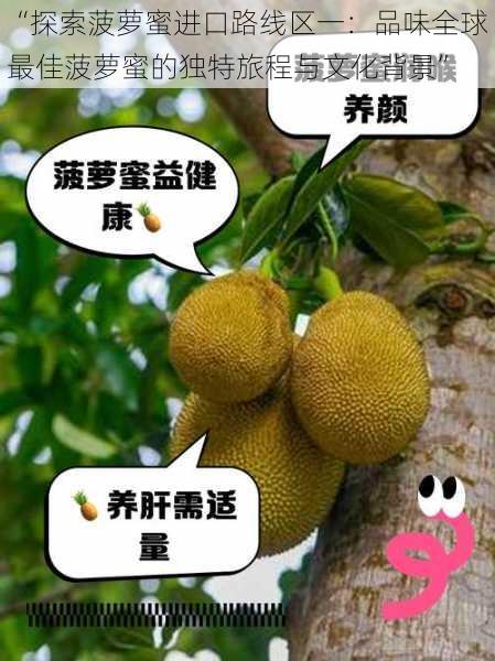 “探索菠萝蜜进口路线区一：品味全球最佳菠萝蜜的独特旅程与文化背景”