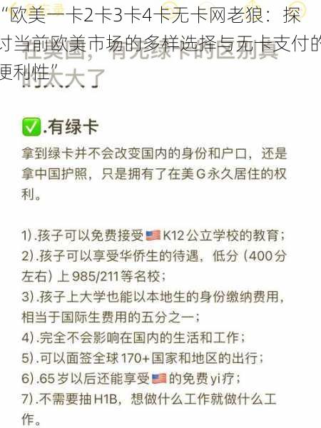 “欧美一卡2卡3卡4卡无卡网老狼：探讨当前欧美市场的多样选择与无卡支付的便利性”